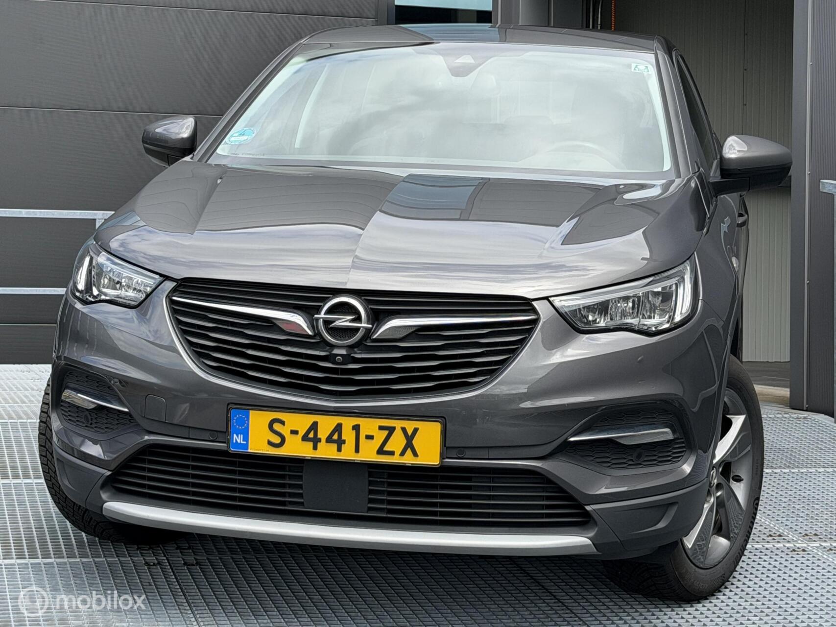 Foto van Opel Grandland X