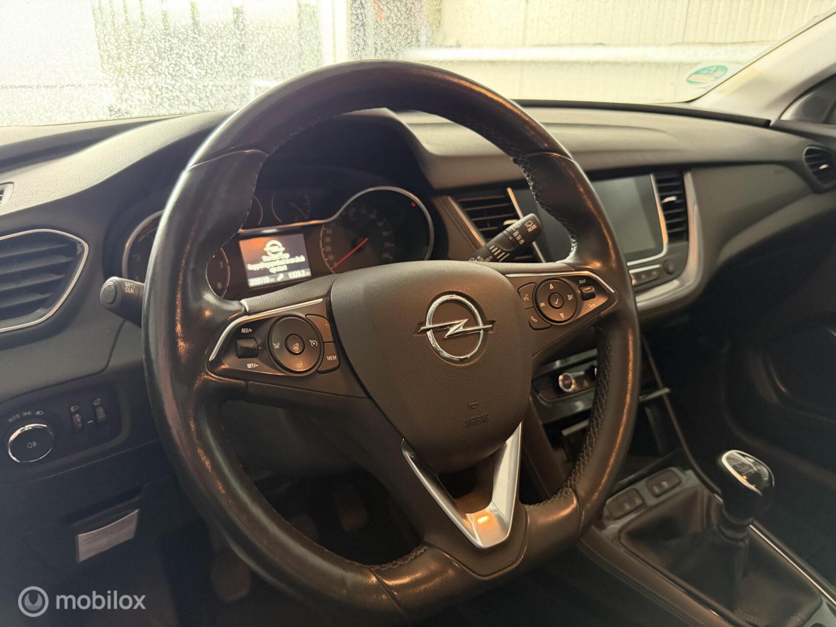 Foto van Opel Grandland X