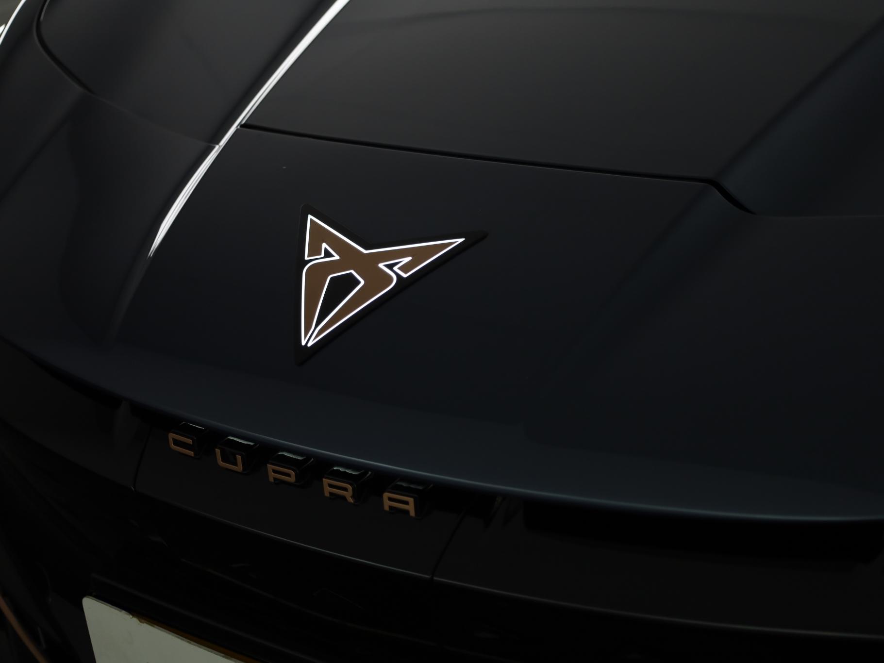 Foto van Cupra Tavascan