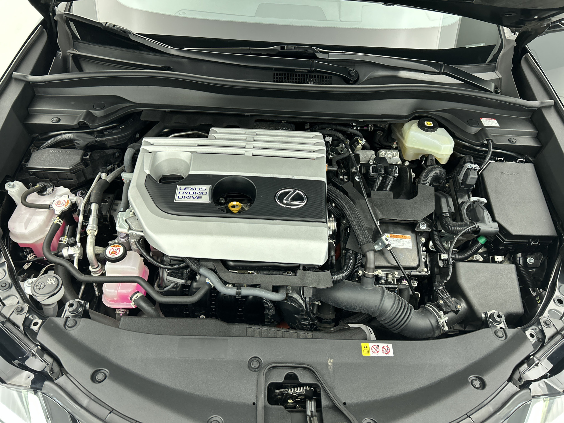 Foto van Lexus Ux