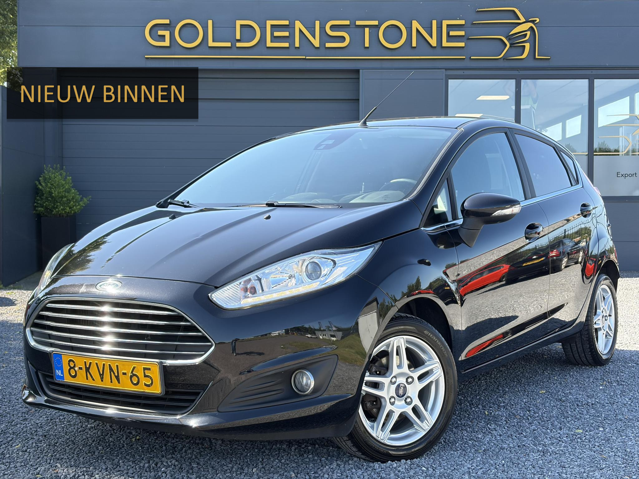 Ford Fiesta 1.0 EcoBoost Titanium 2013 - voorkant
