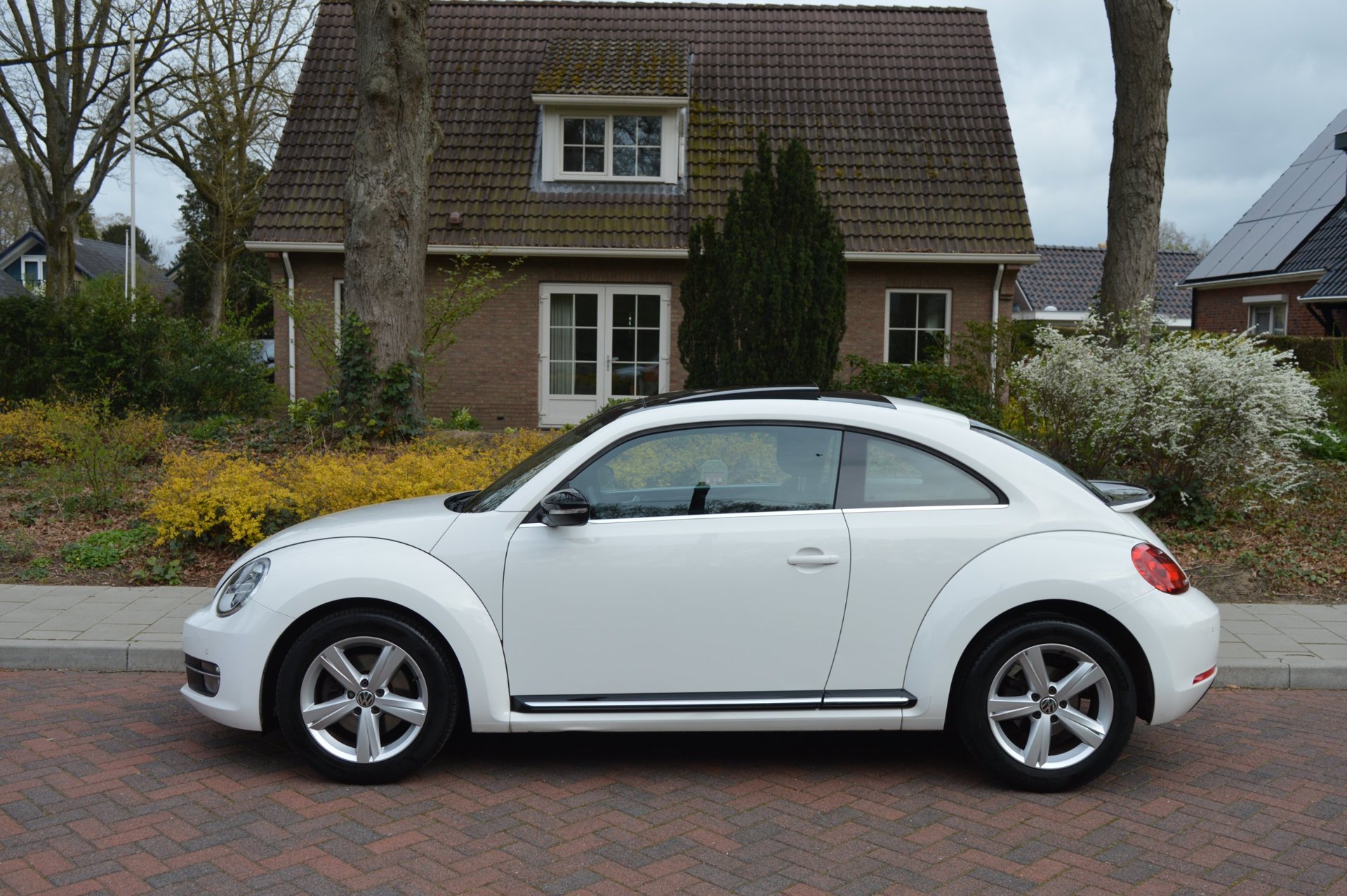 Foto van Volkswagen Beetle