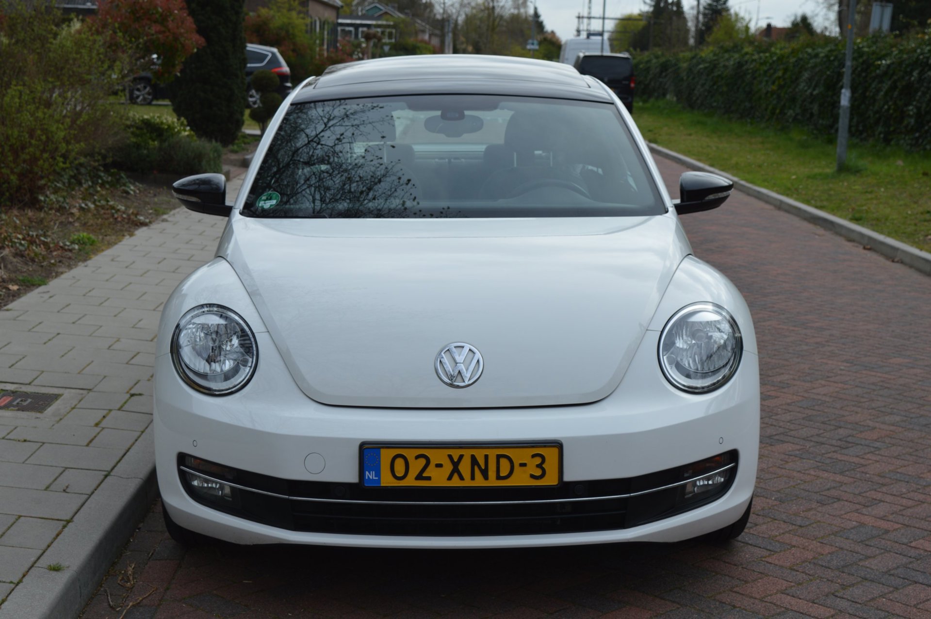 Foto van Volkswagen Beetle