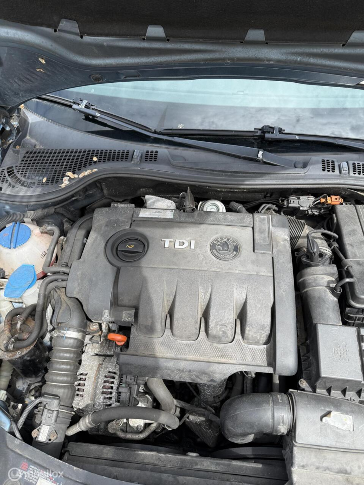 Foto van Skoda Octavia