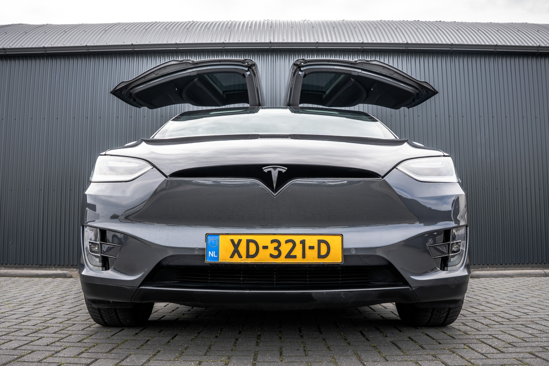 Foto van Tesla Model X