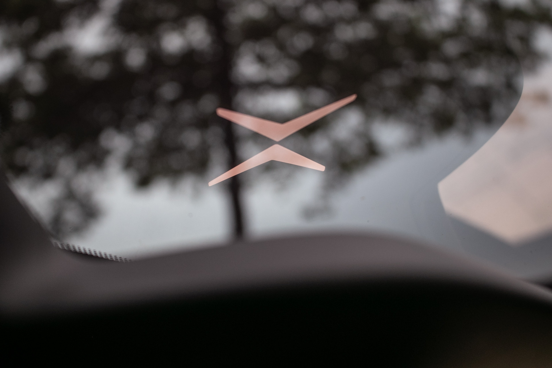 Foto van Polestar Polestar 2