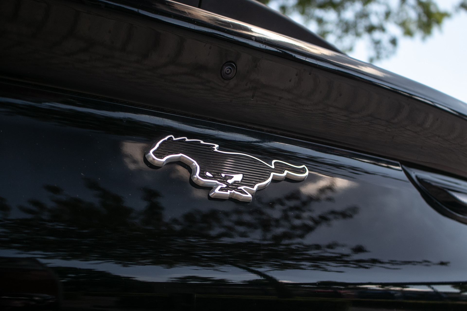 Foto van Ford Mustang Mach-e