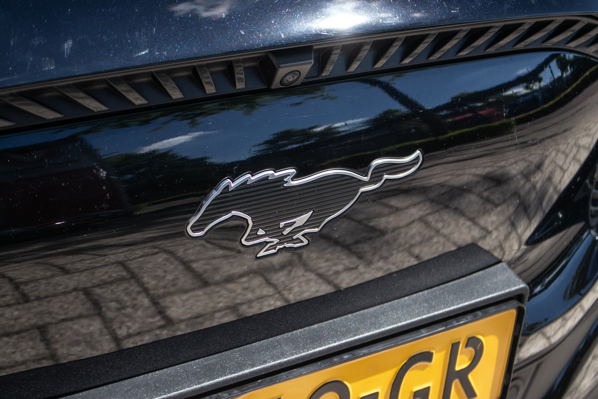 Foto van Ford Mustang Mach-e