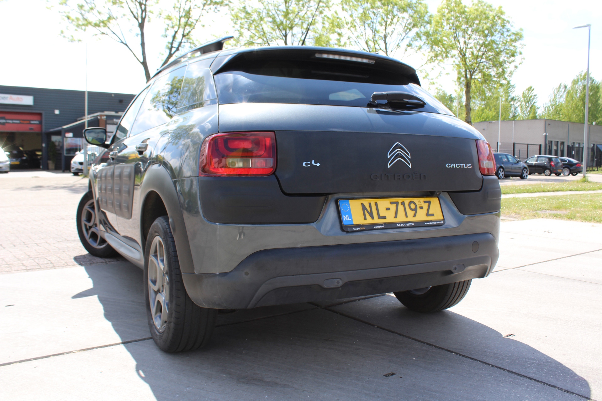 Foto van Citroen C4 Cactus