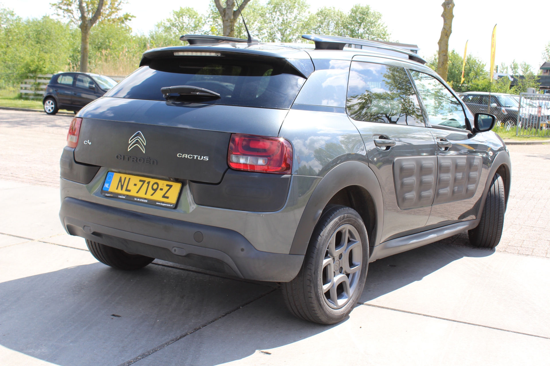 Foto van Citroen C4 Cactus