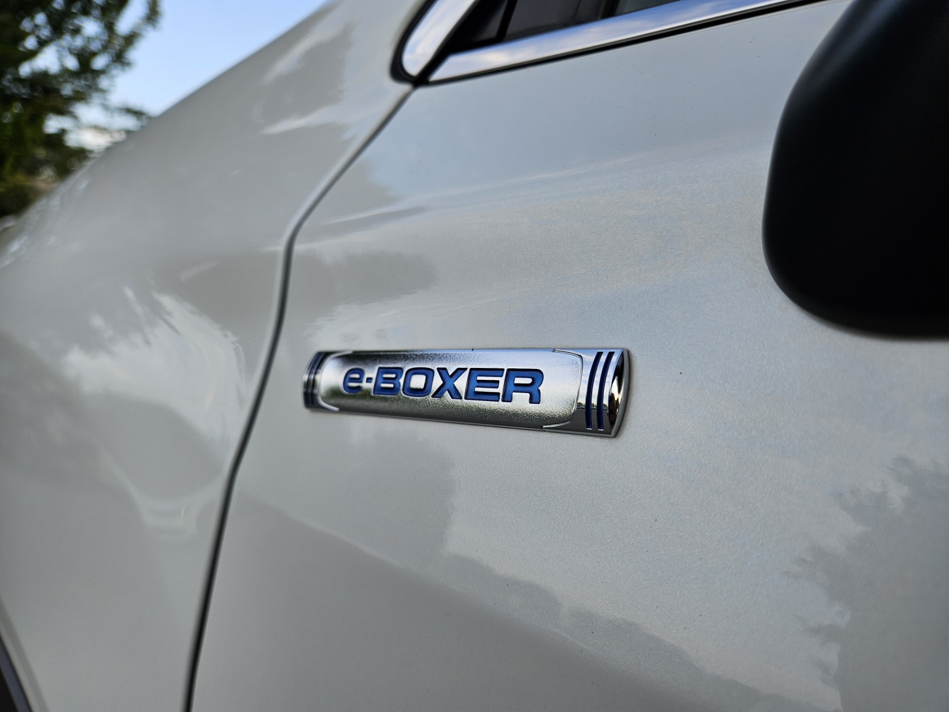 Foto van Subaru Forester
