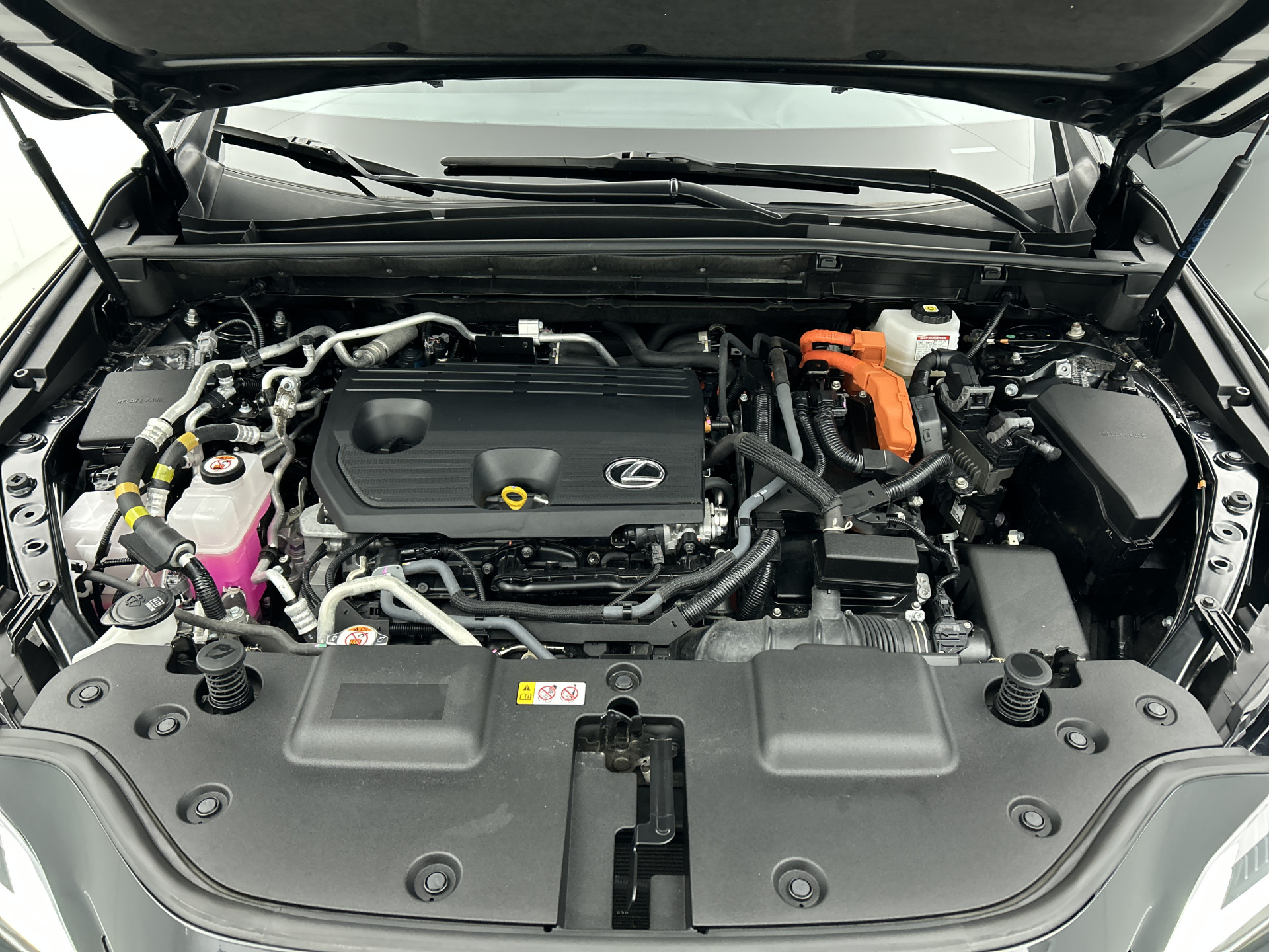 Foto van Lexus Lexus Nx450h+