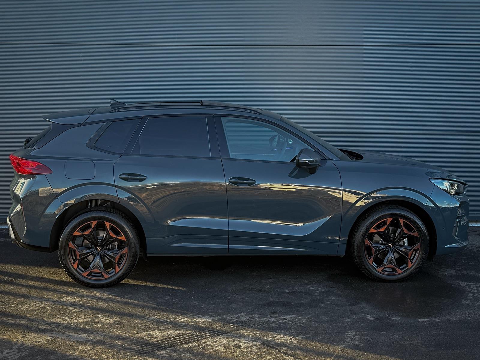 Foto van Cupra Terramar