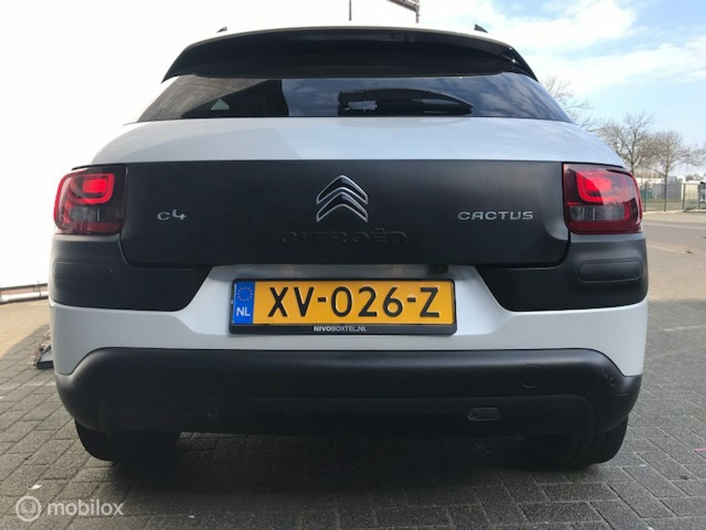 Foto van Citroen C4 Cactus