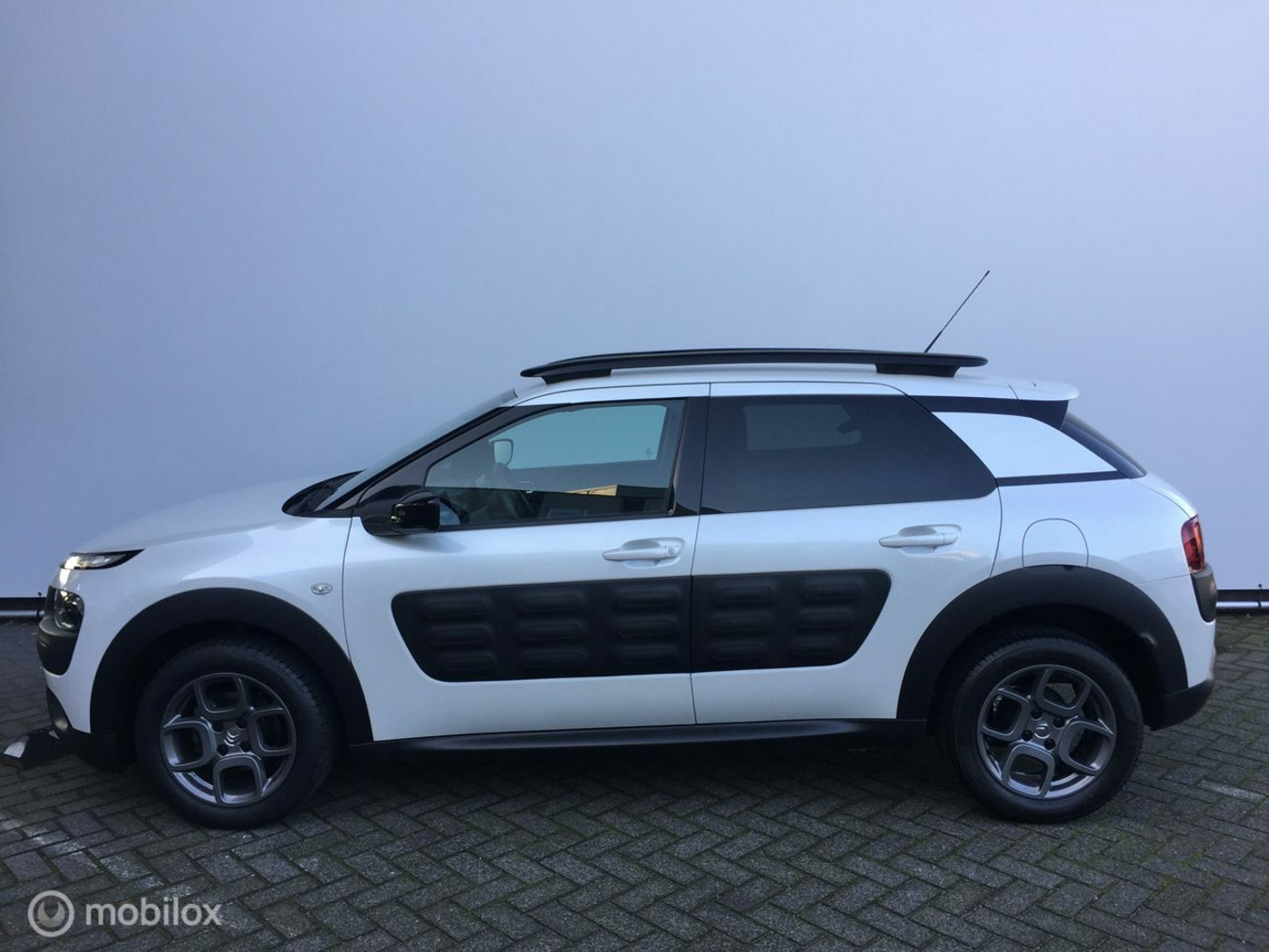 Foto van Citroen C4 Cactus