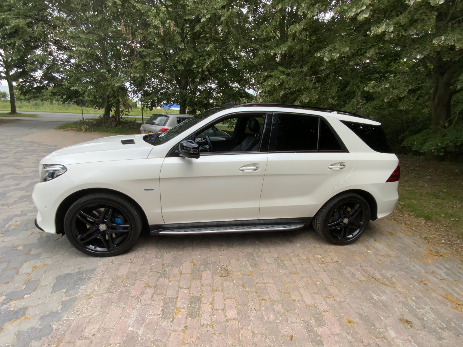 Inspectiefoto van Mercedes-Benz Gle-klasse