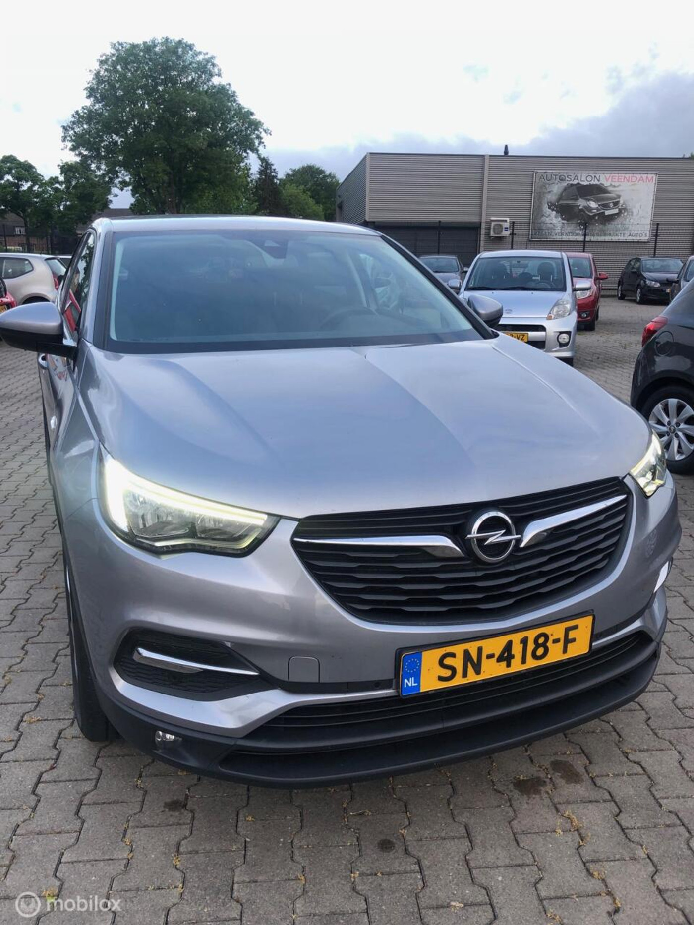 Foto van Opel Grandland X