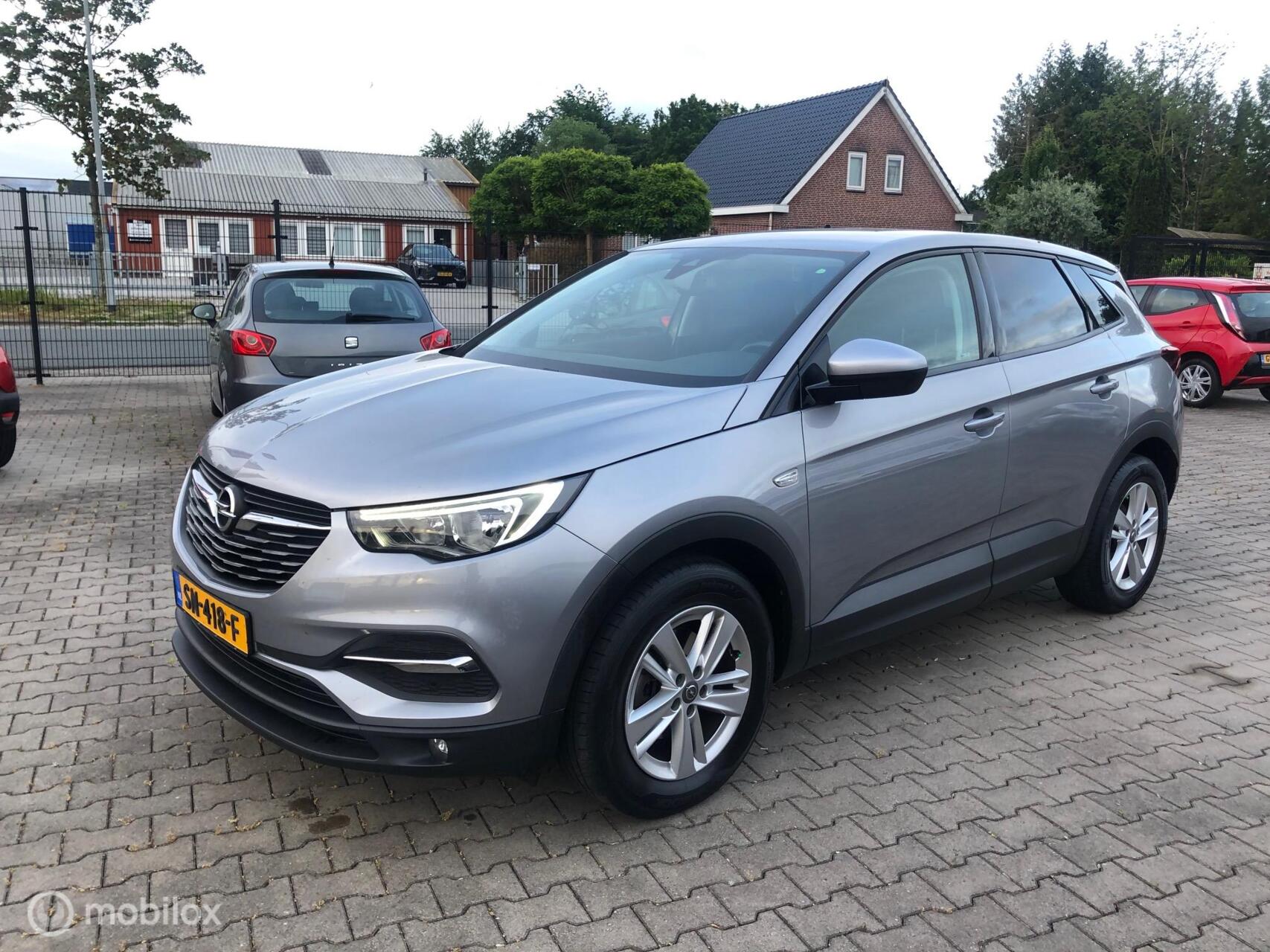Foto van Opel Grandland X