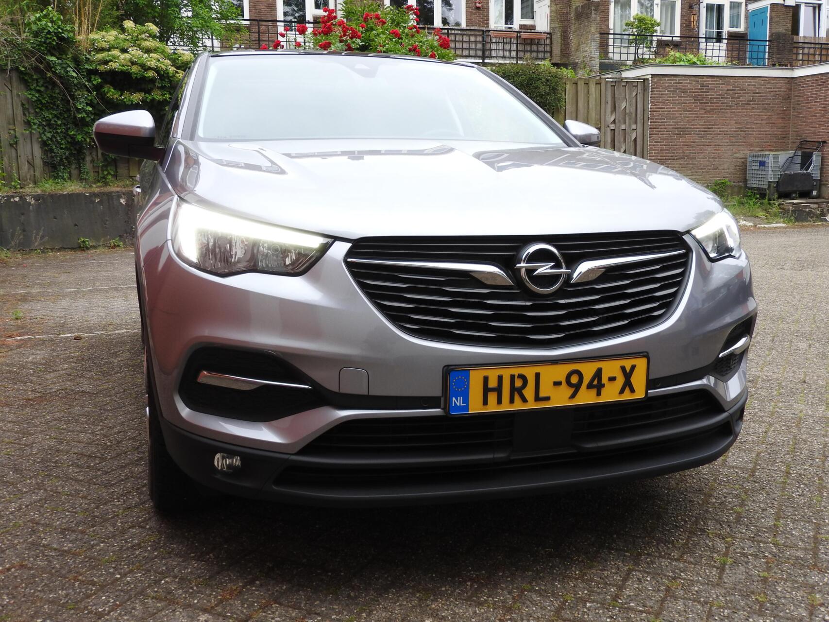 Foto van Opel Grandland X