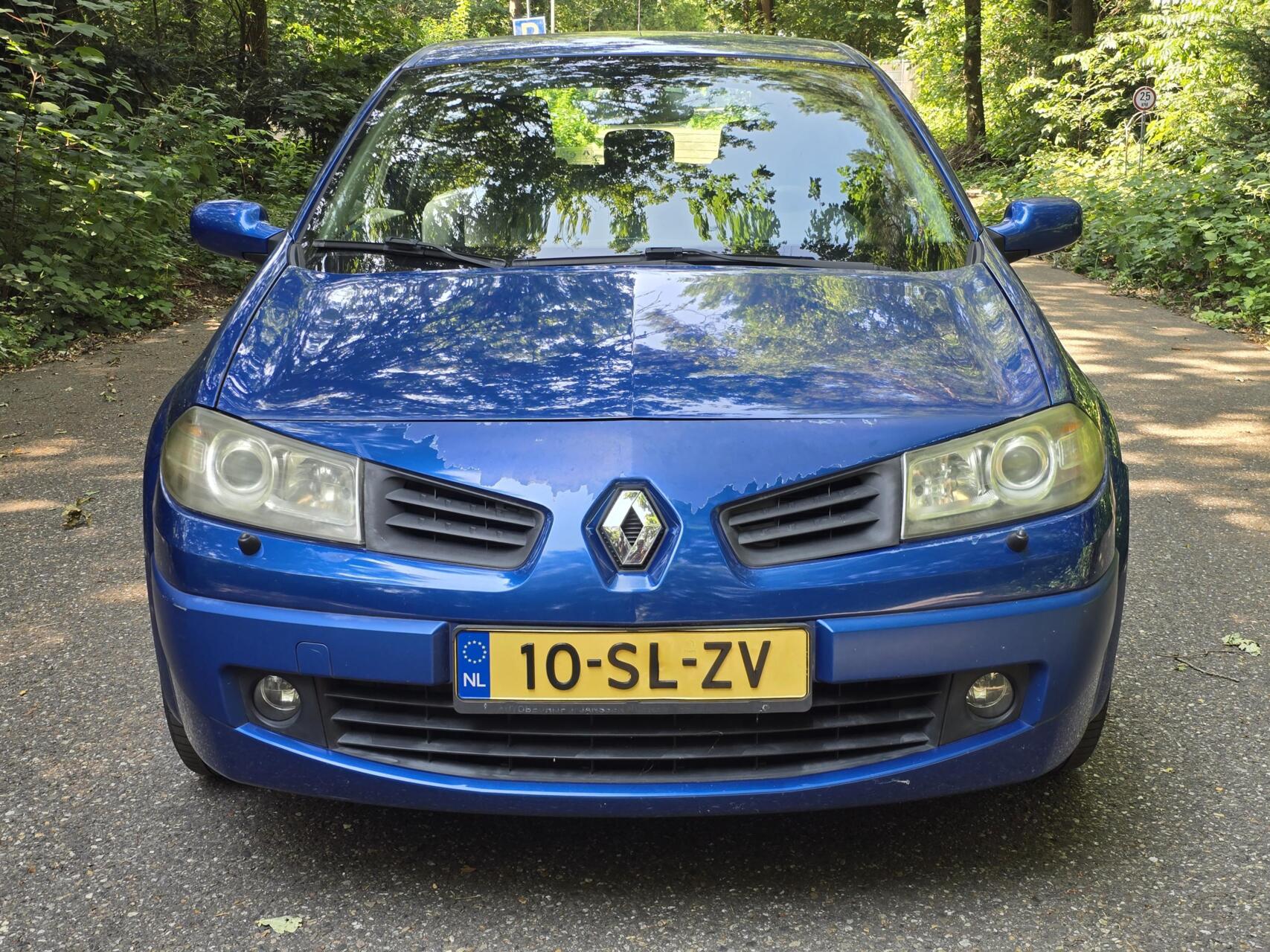 Foto van Renault Megane