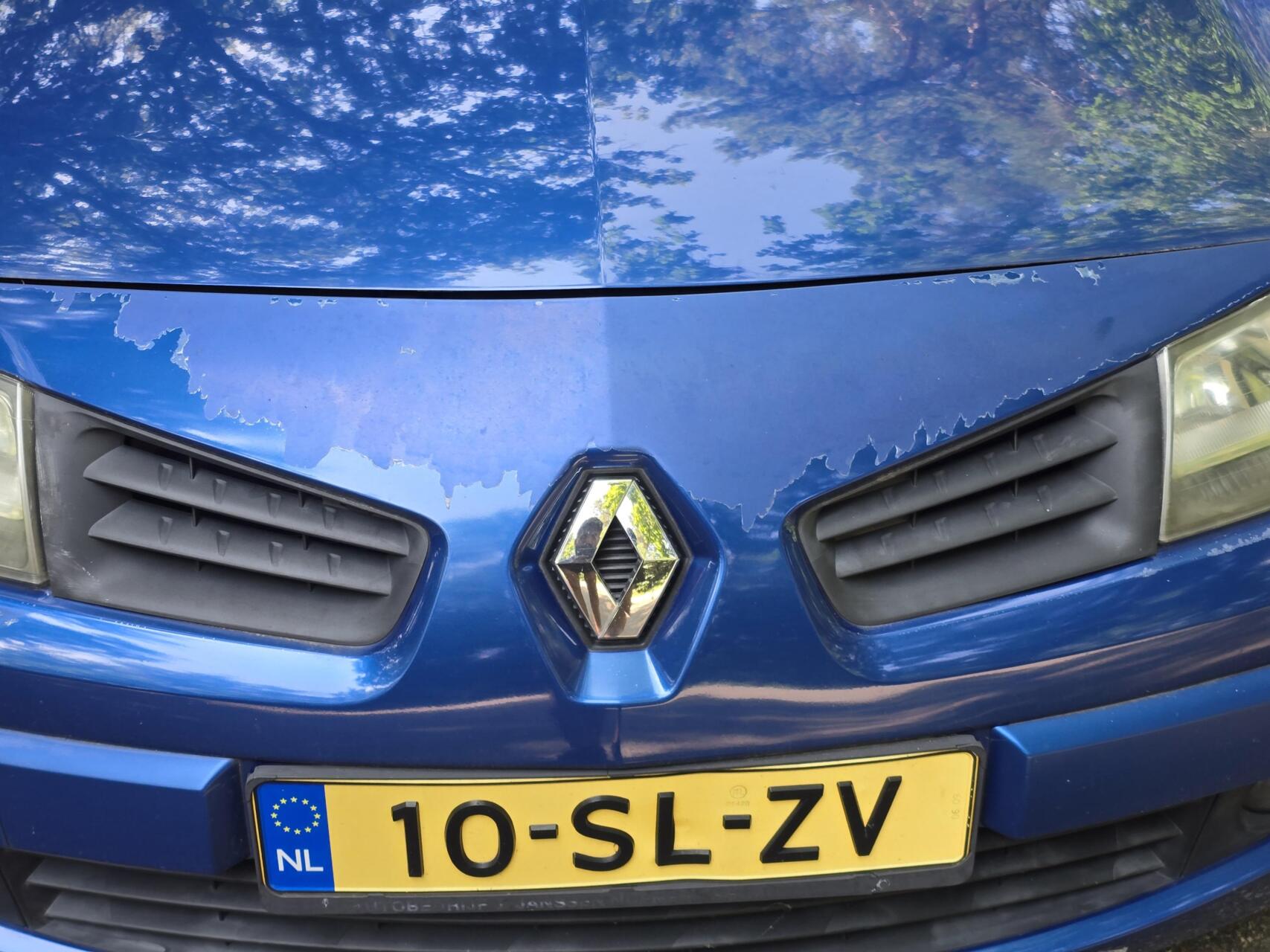 Foto van Renault Megane