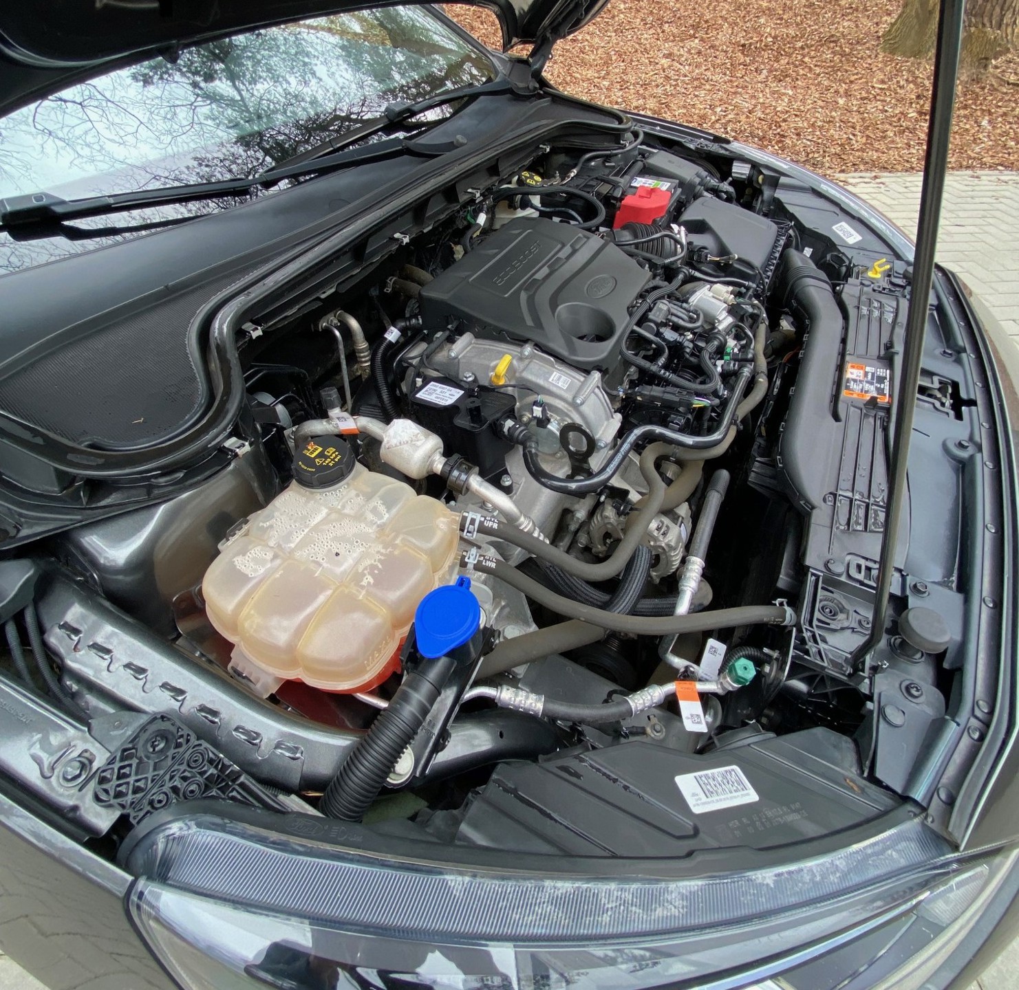 Foto van Ford Focus