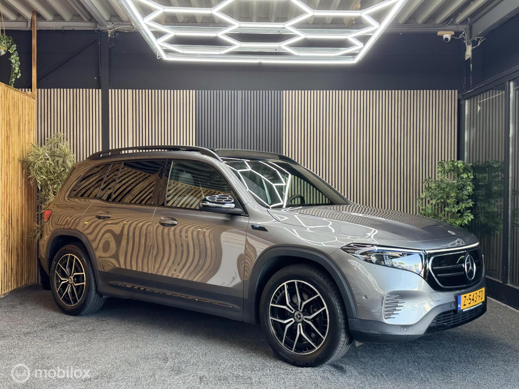 Foto van Mercedes-Benz Eqb 250