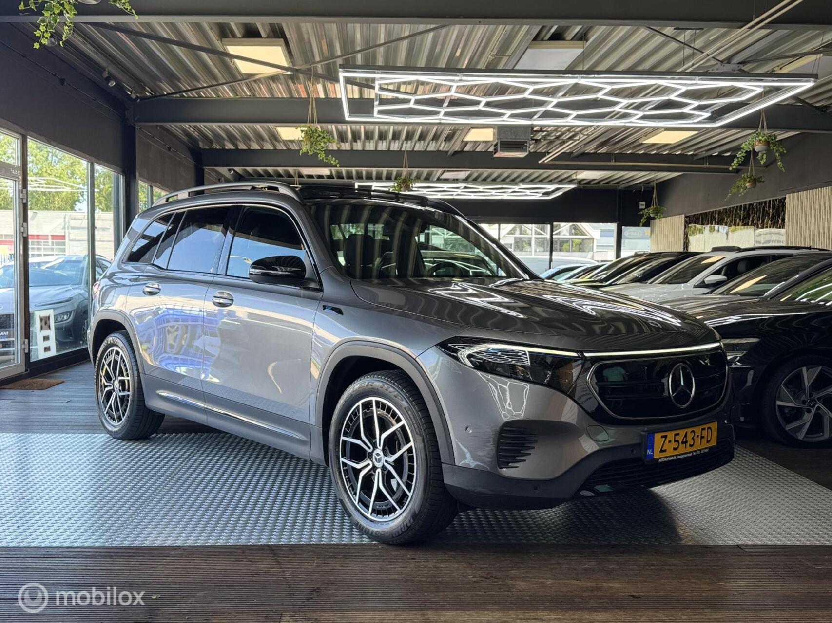 Foto van Mercedes-Benz Eqb 250