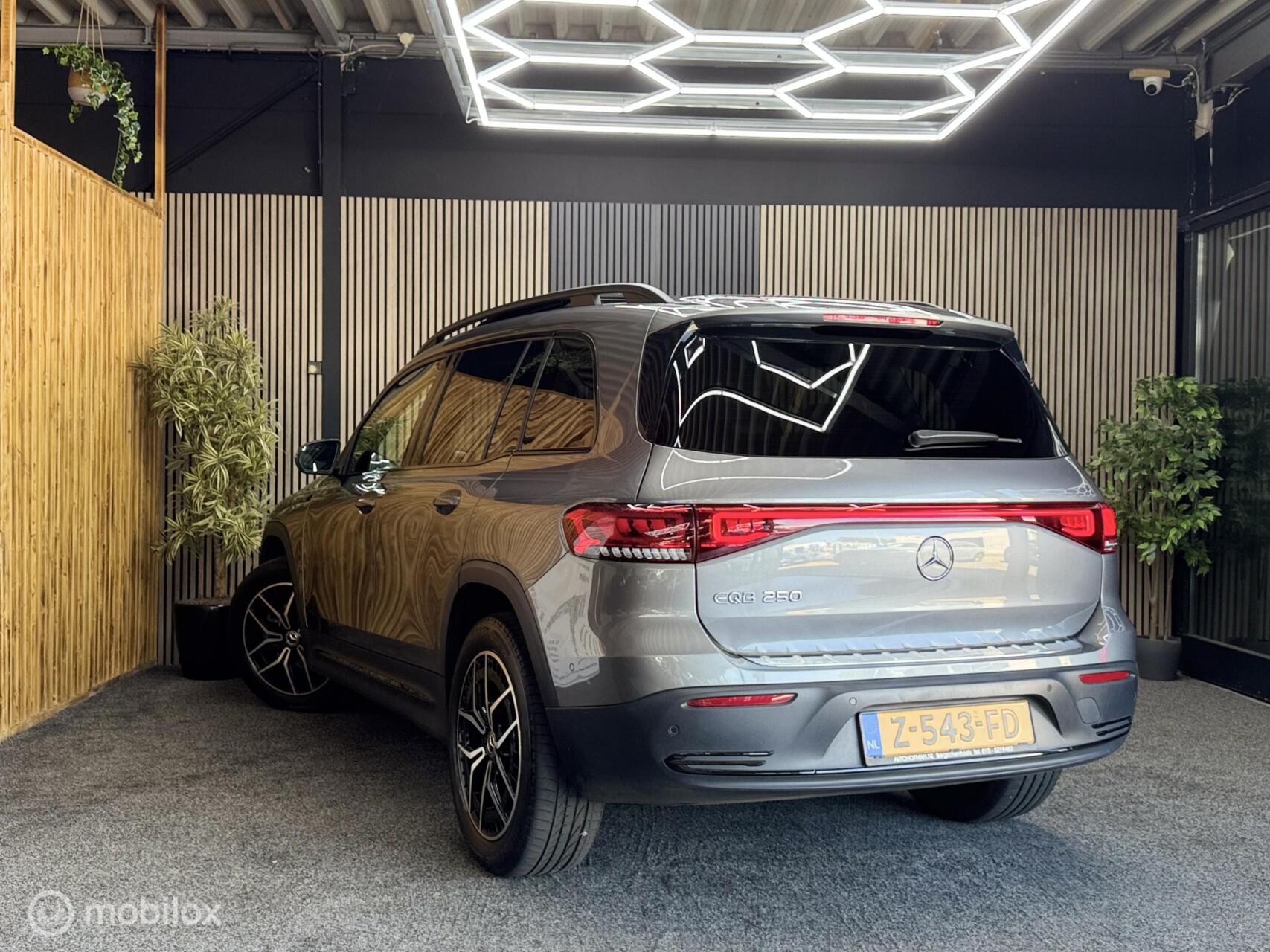 Foto van Mercedes-Benz Eqb 250