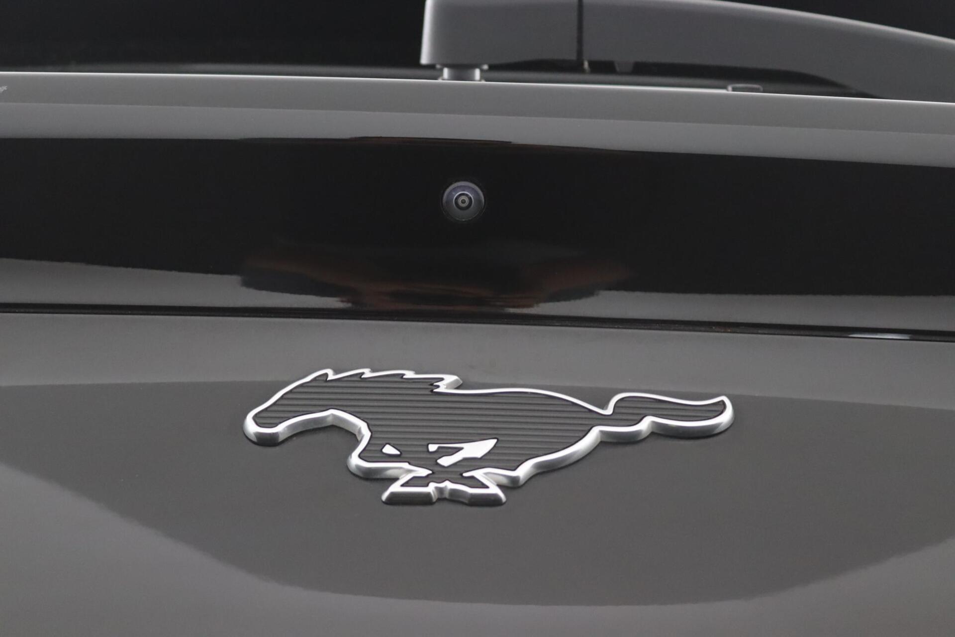 Foto van Ford Mustang Mach-e