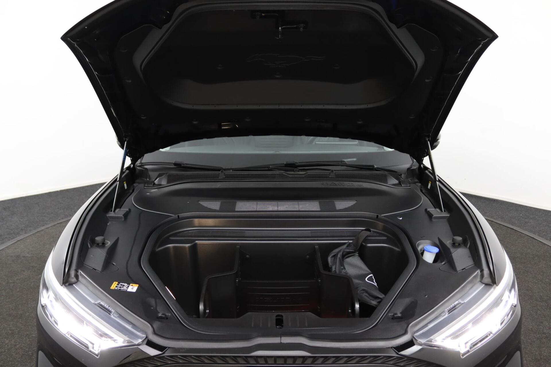 Foto van Ford Mustang Mach-e