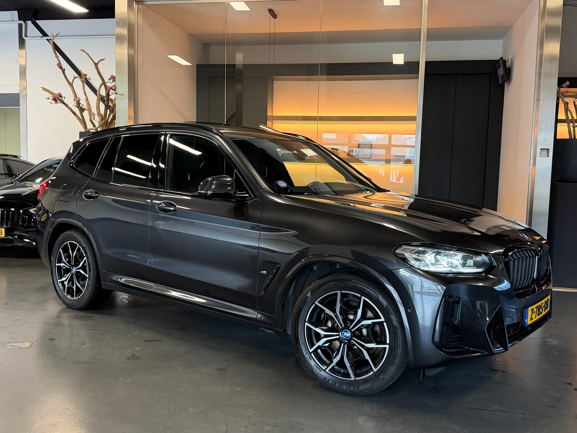 Foto van BMW X3 Xdrive30e