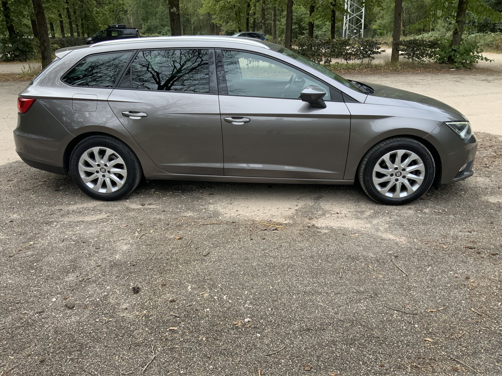Inspectiefoto van Seat Leon ST