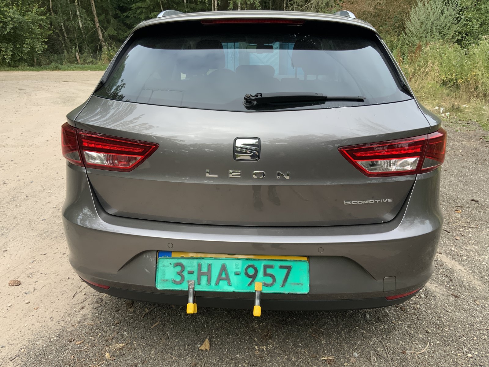 Inspectiefoto van Seat Leon ST