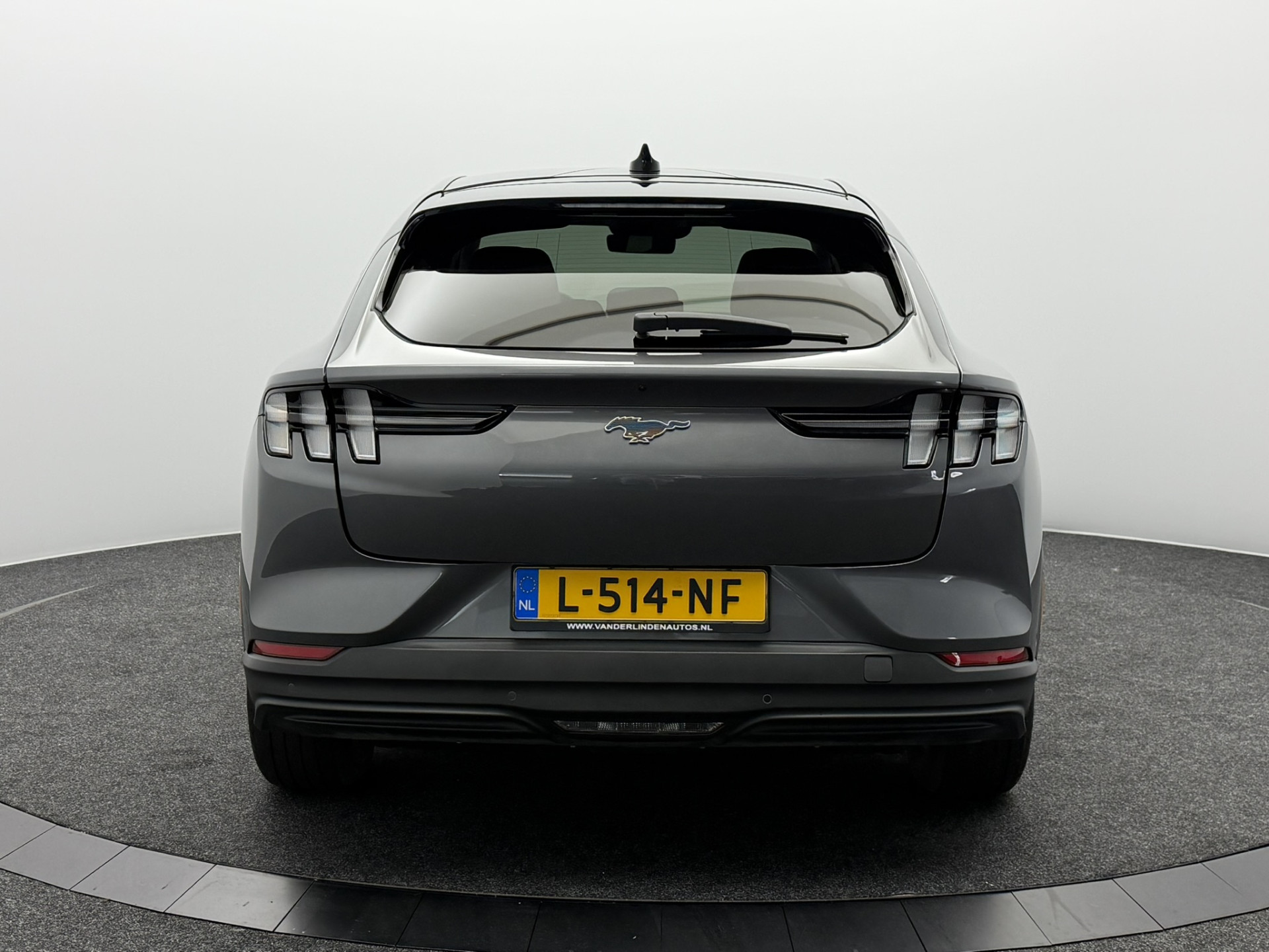 Foto van Ford Mustang Mach-e