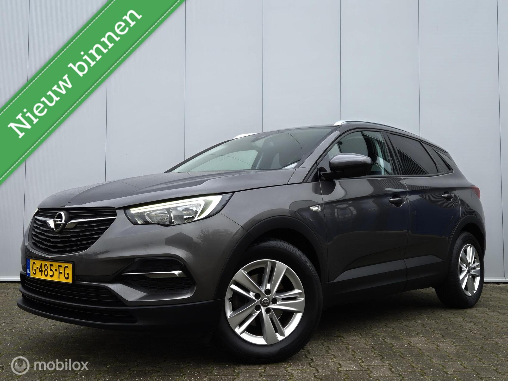 Opel Grandland X 1.2 TURBO BUSINESS +/CAMERA/LED/HALF LEDER/CARPLAY/CLIMATE 2019 - voorkant