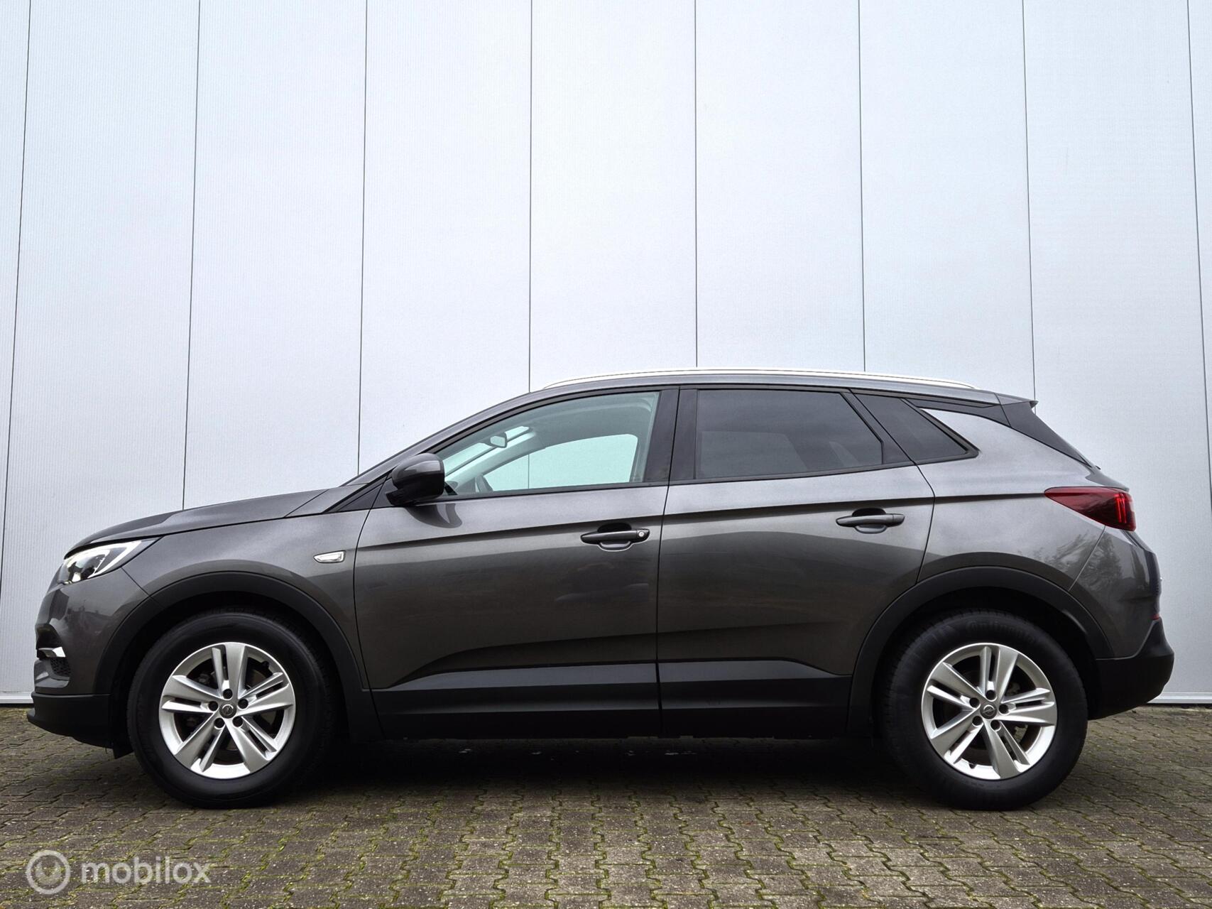 Foto van Opel Grandland X