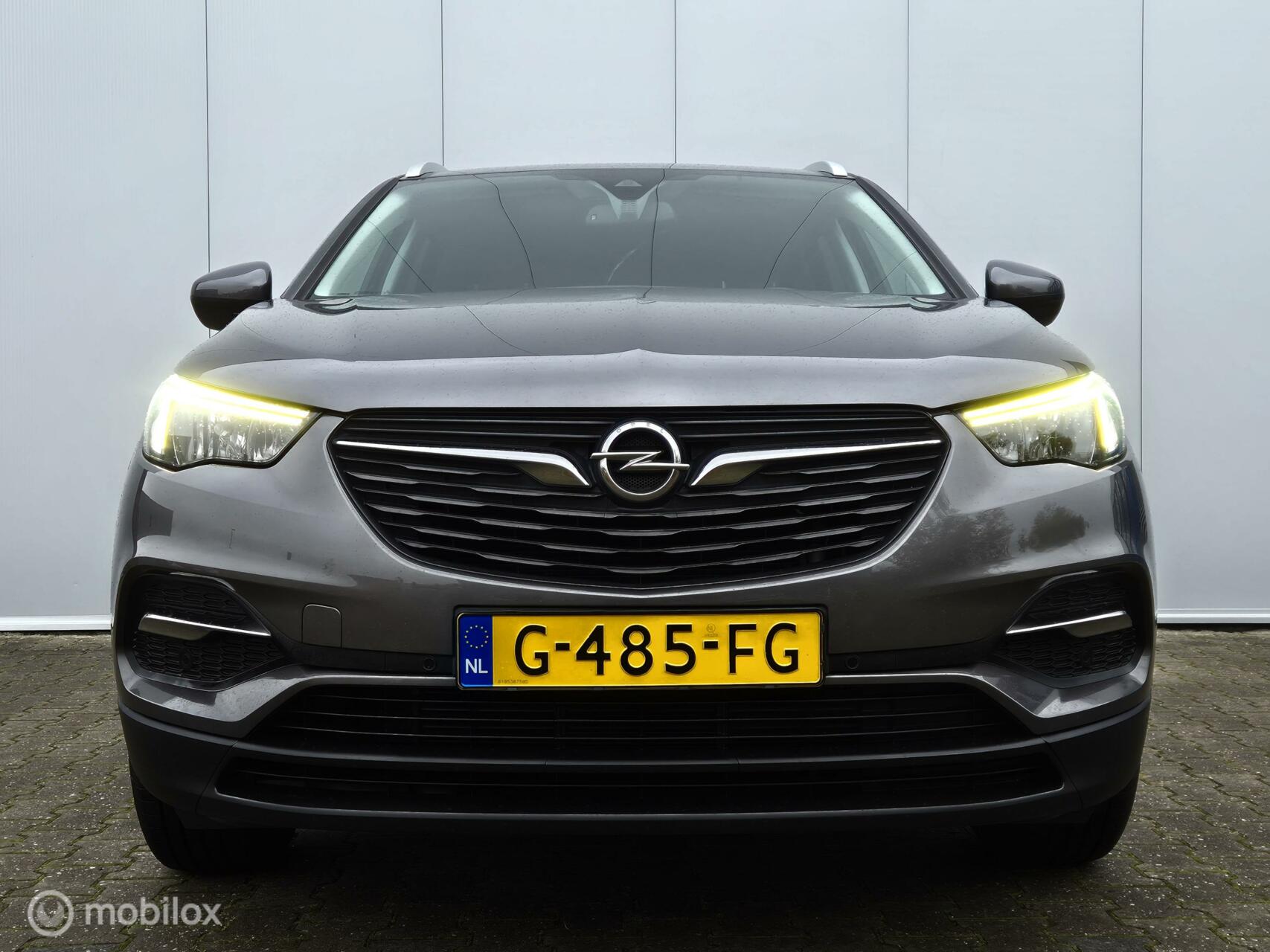 Foto van Opel Grandland X