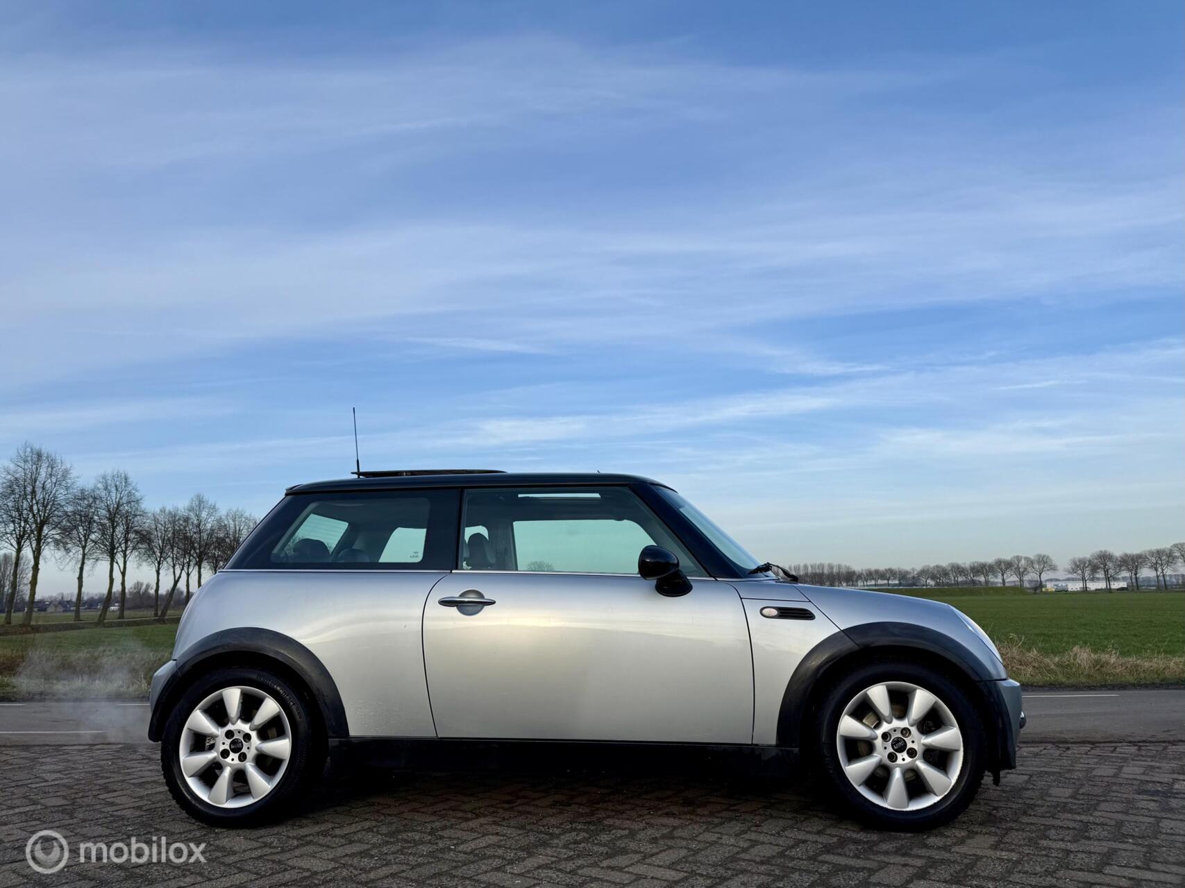 Foto van Mini Mini Cooper