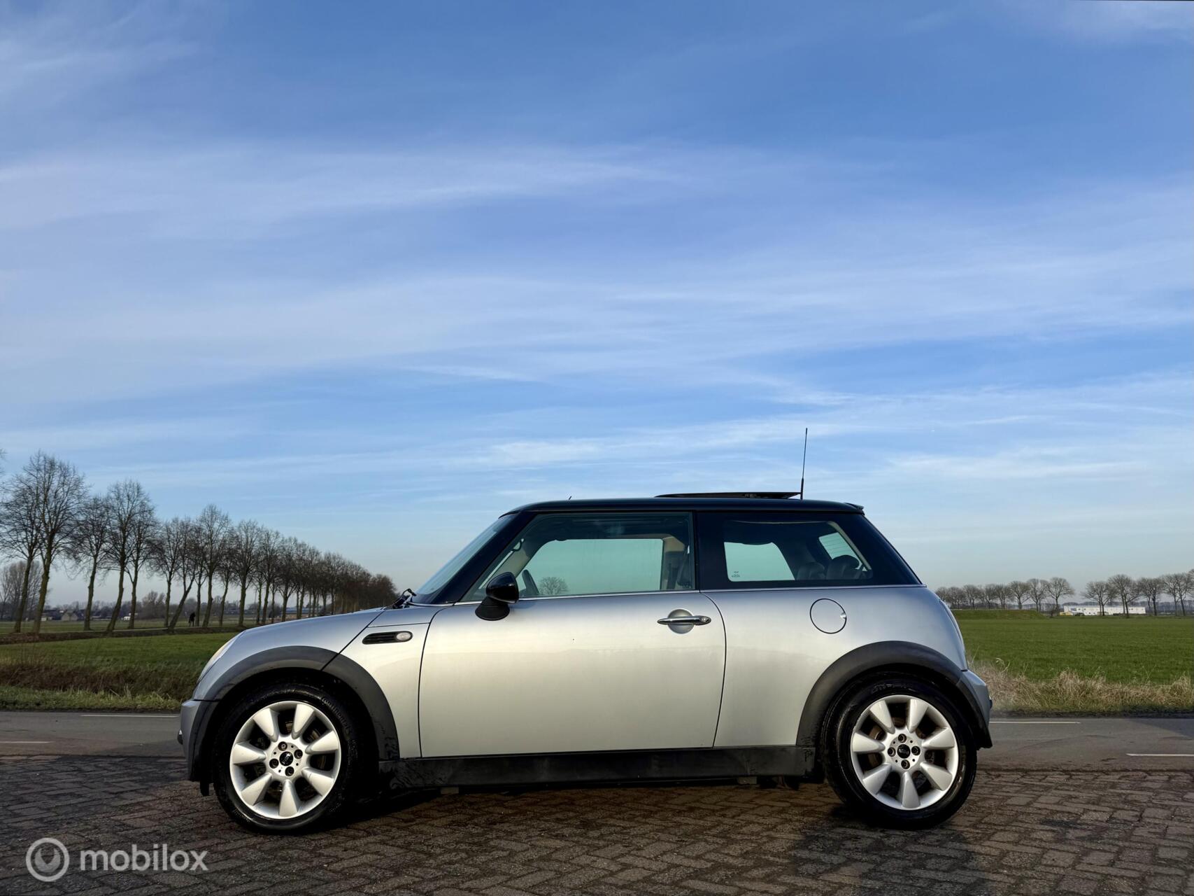 Foto van Mini Mini Cooper