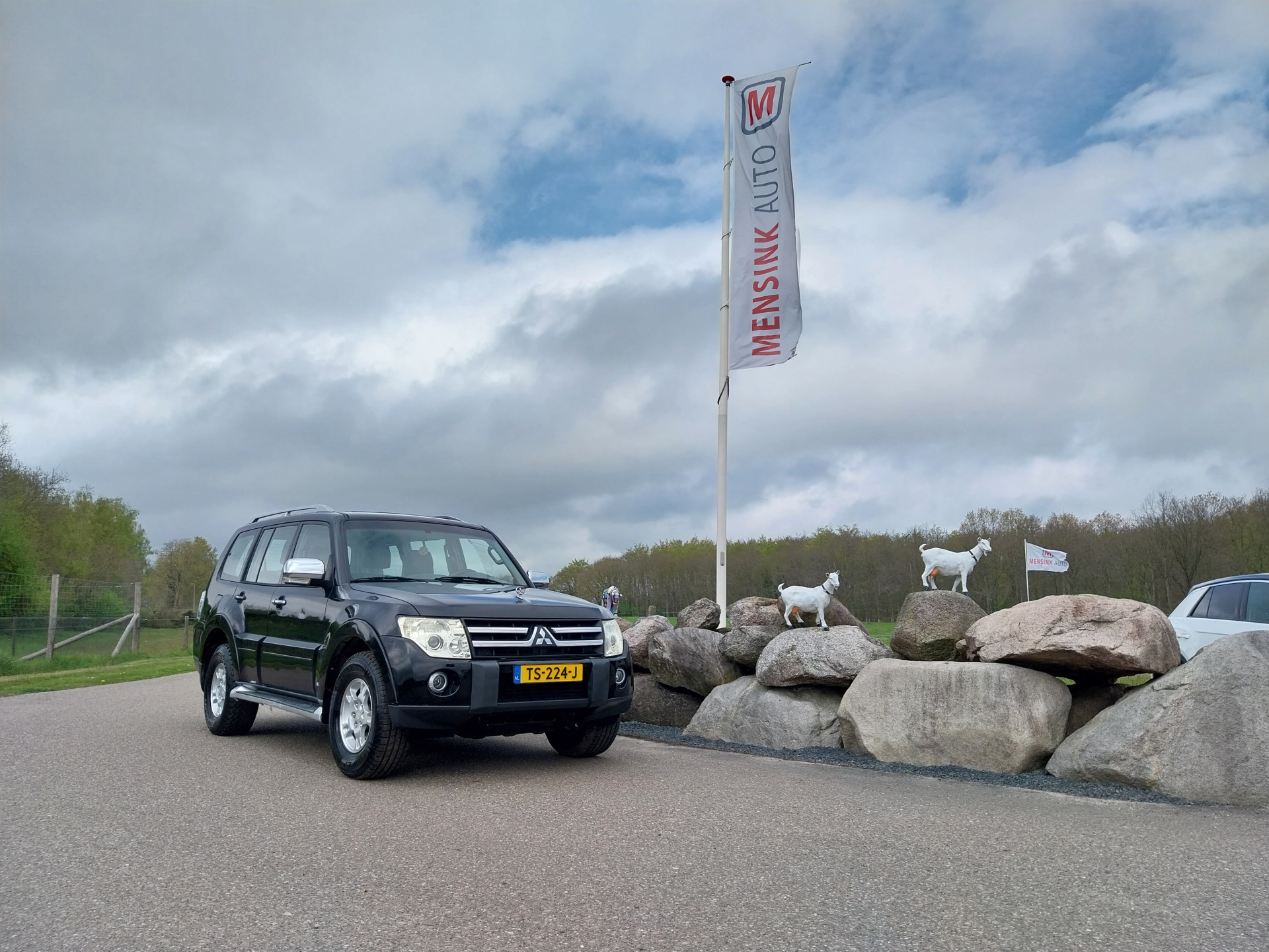 Foto van Mitsubishi Pajero