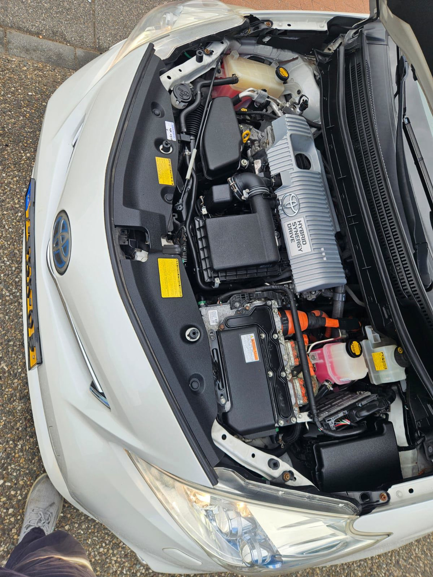 Foto van Toyota Toyota Prius Plus