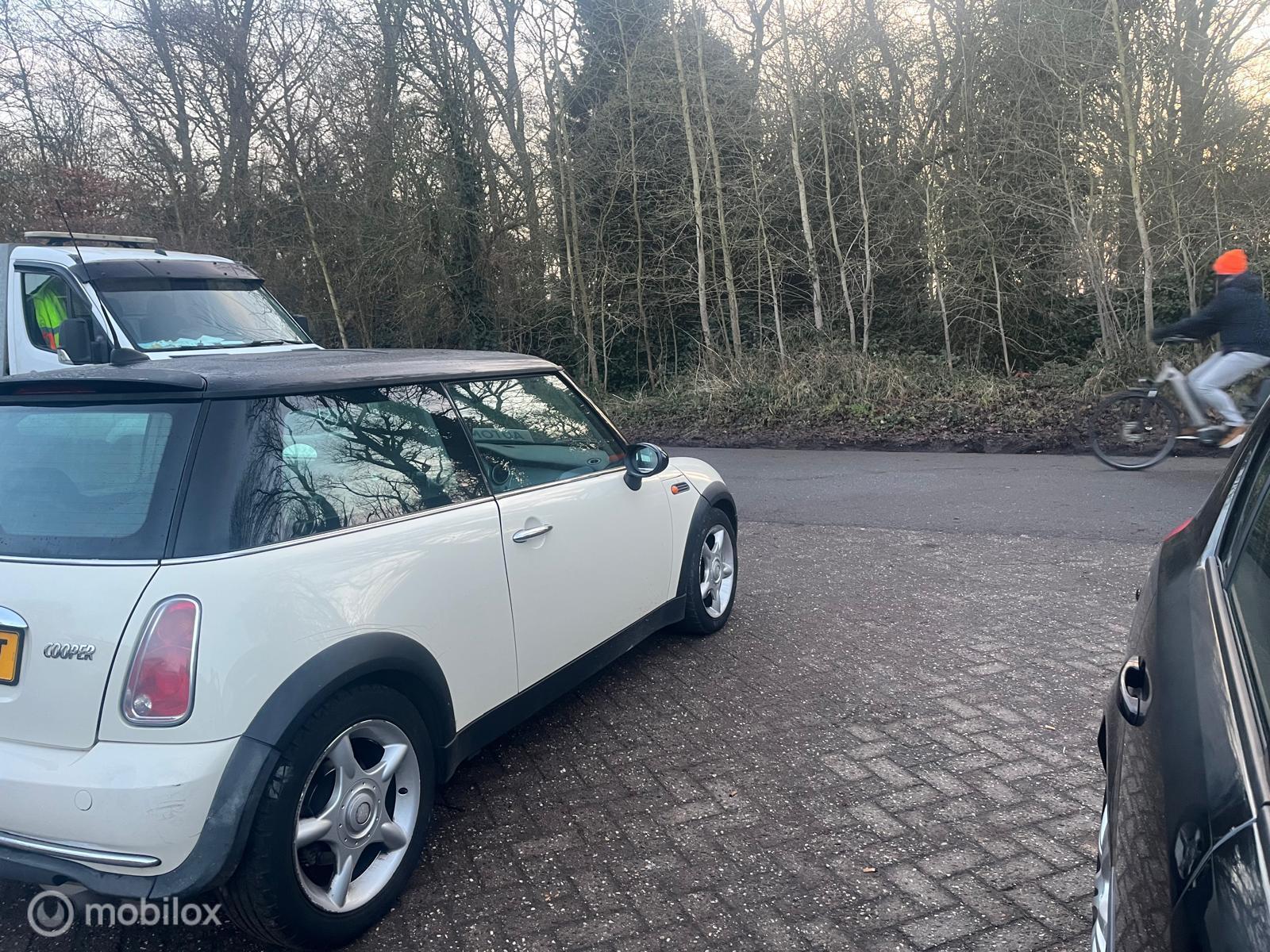 Foto van Mini Mini Cooper