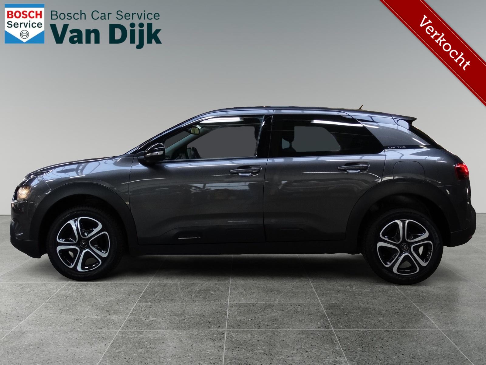 Foto van Citroen C4 Cactus