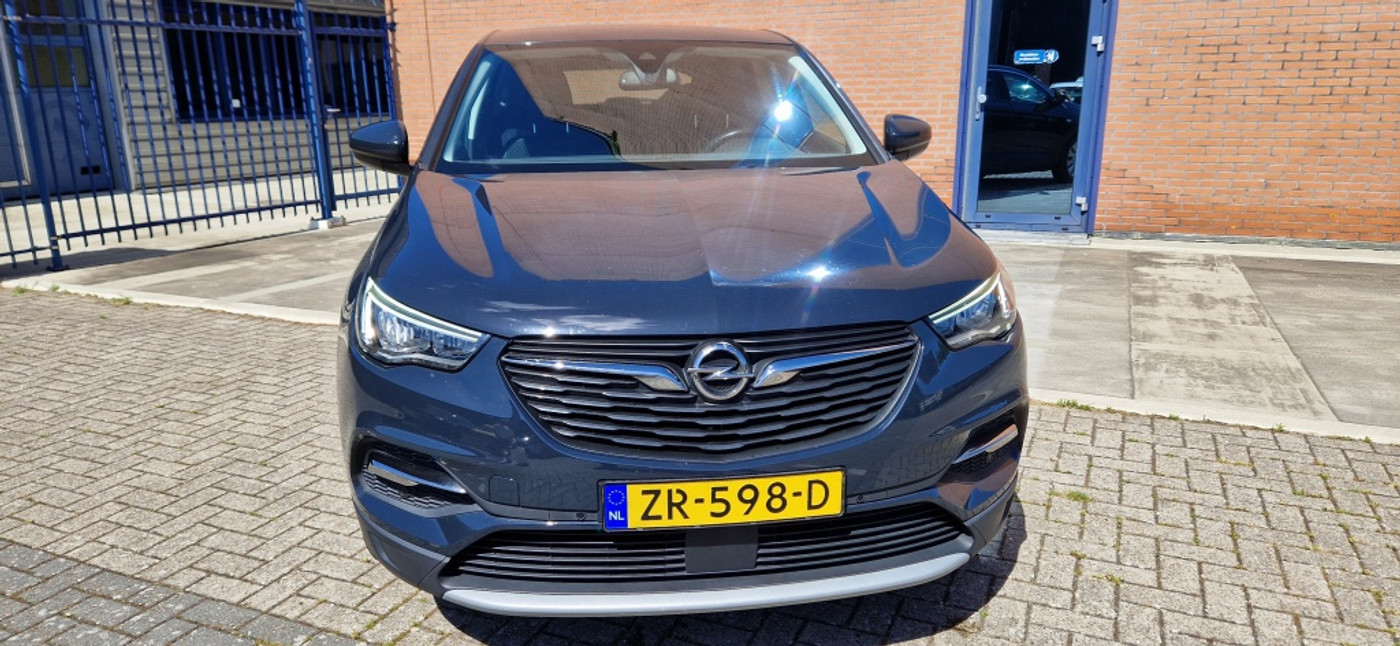 Foto van Opel Grandland X