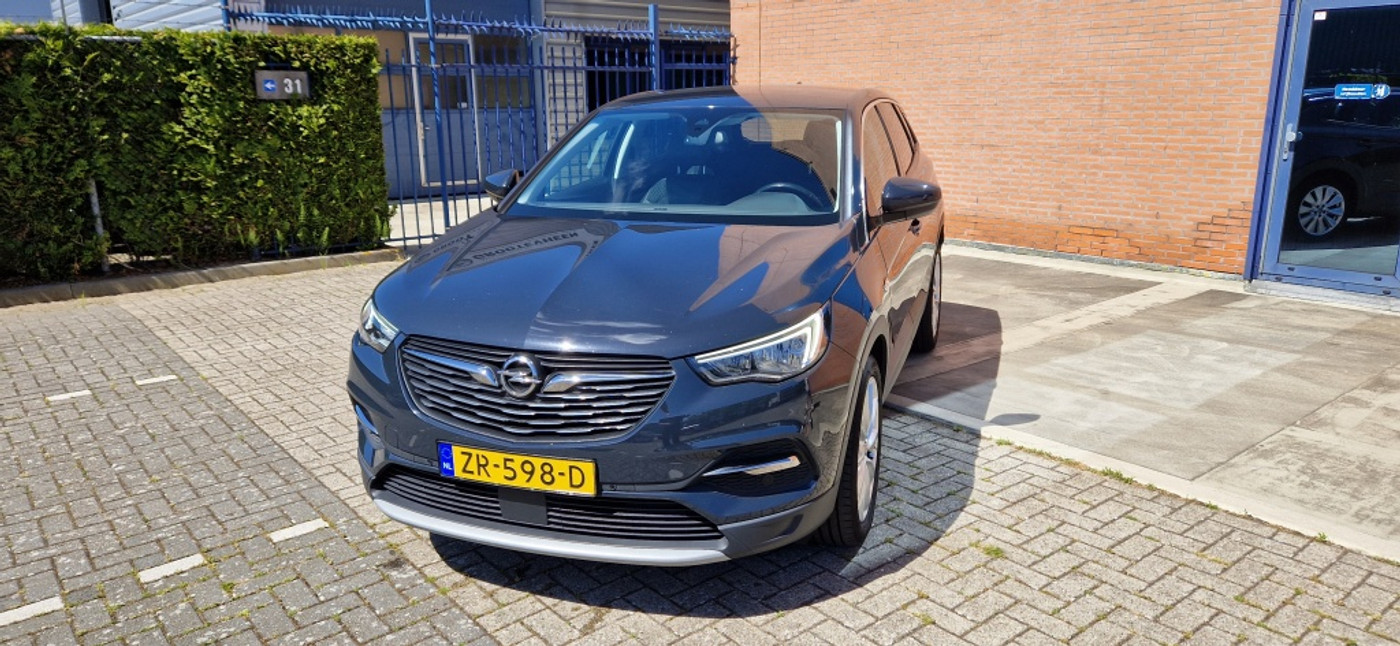 Foto van Opel Grandland X