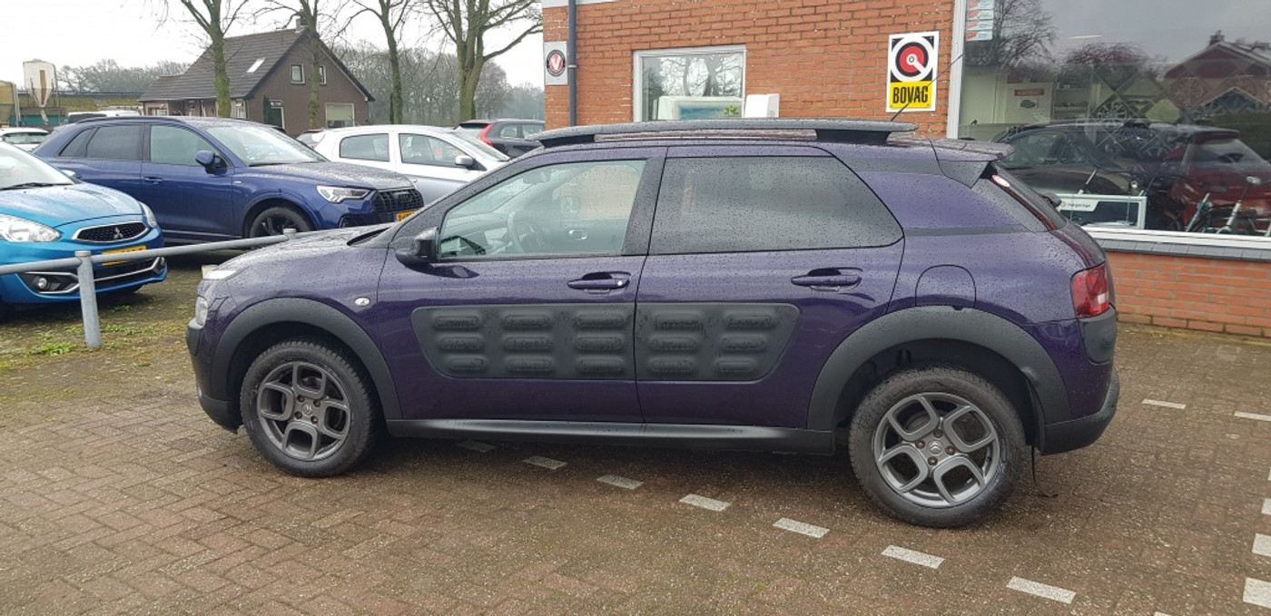 Foto van Citroen C4 Cactus