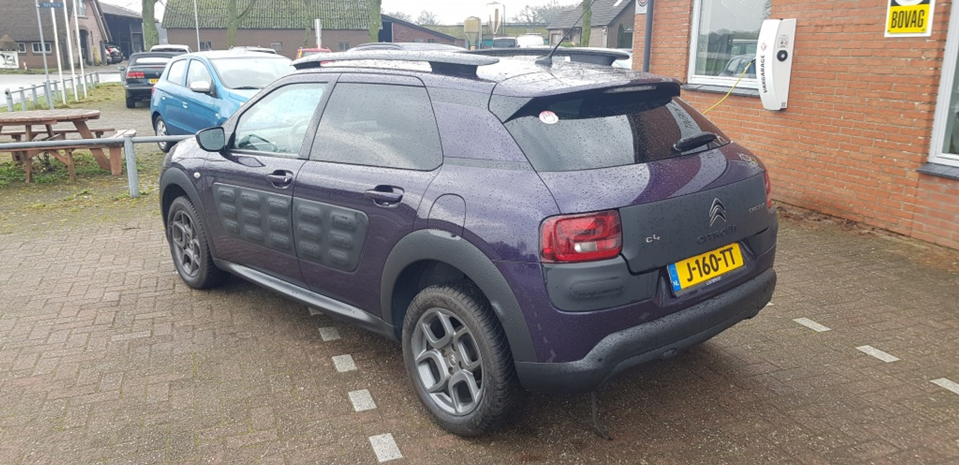 Foto van Citroen C4 Cactus