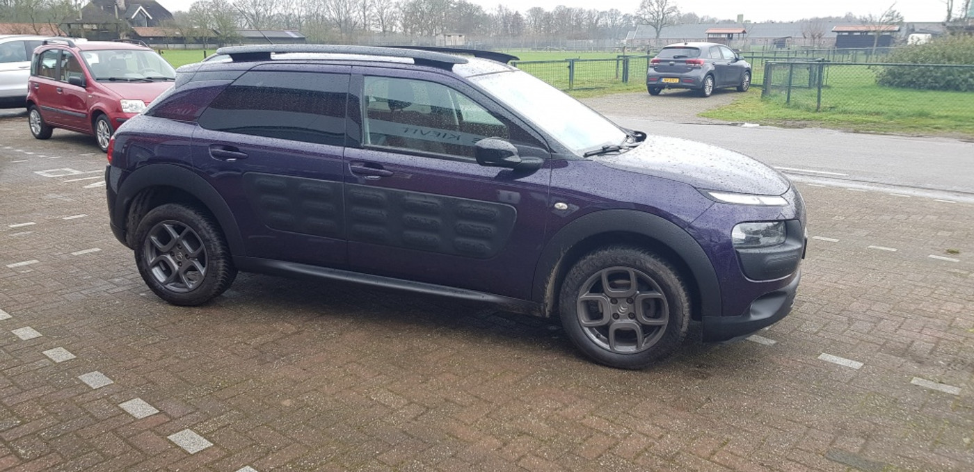 Foto van Citroen C4 Cactus