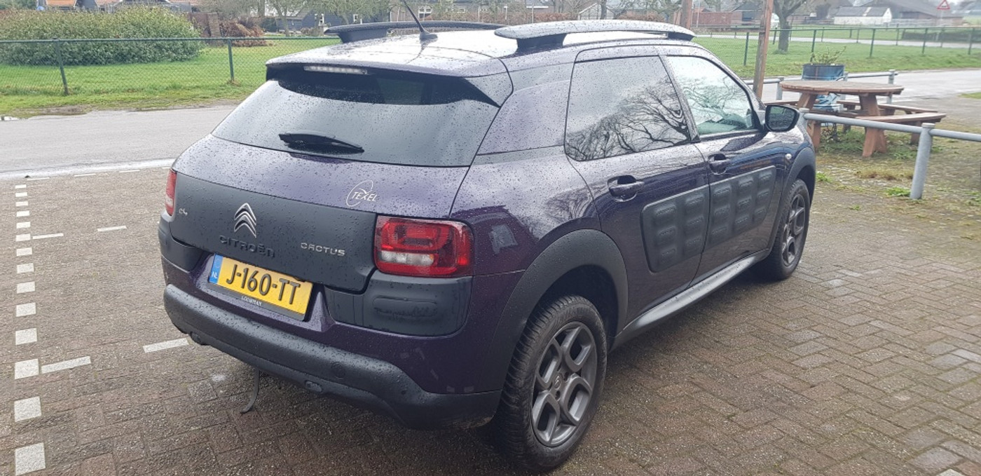 Foto van Citroen C4 Cactus
